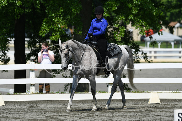 HSM_2729