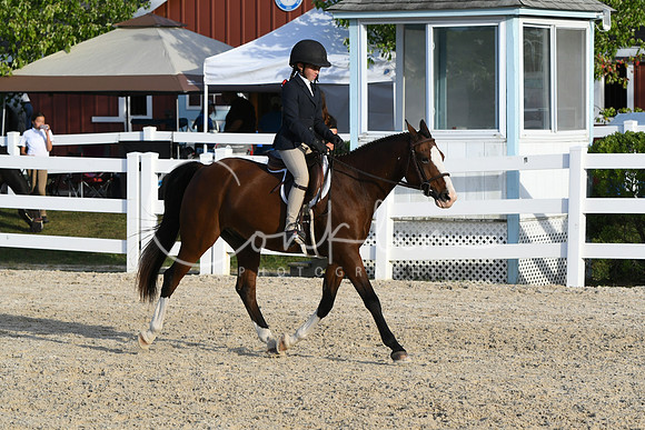 HSM_4565