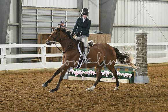 HSM_4790