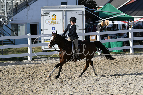 HSM_4428