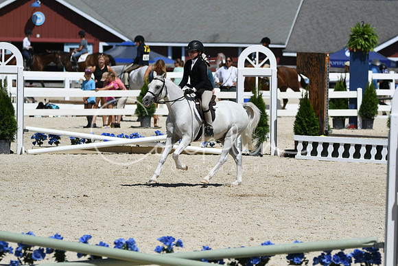 HSM_3221