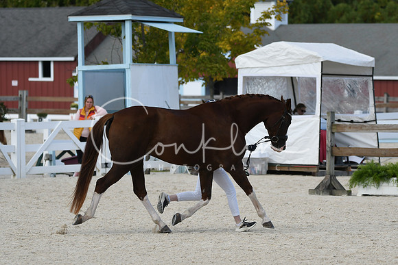HSM_5514