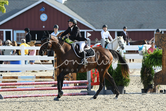 HSM_1433