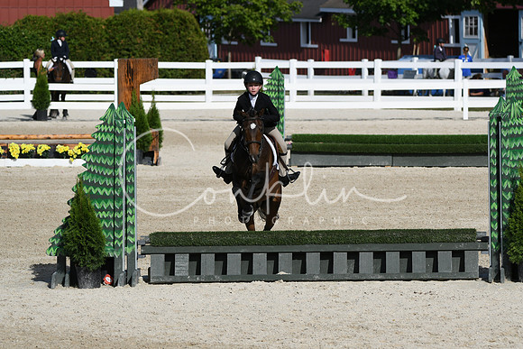 HSM_4073