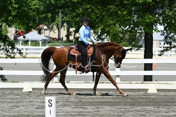 HSM_2762