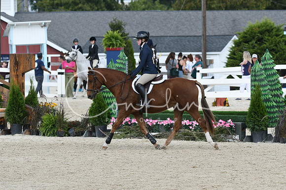 HSM_9234