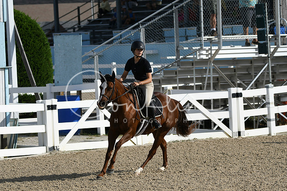 HSM_1490