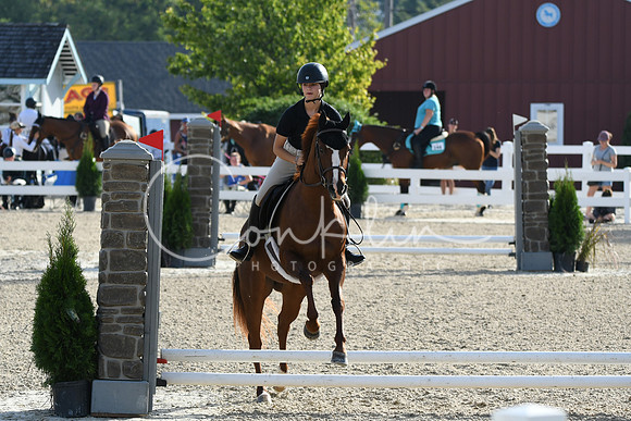 HSM_1371