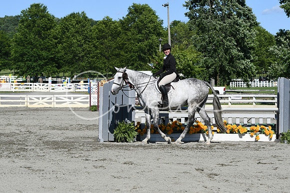 HSM_9182