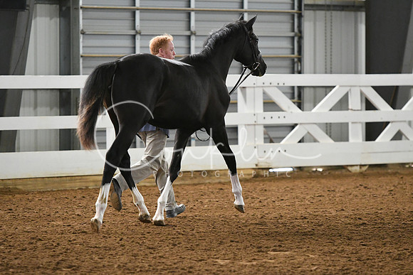 HSM_3748