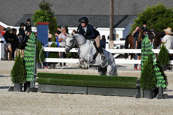 HSM_4436