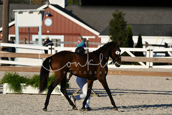 HSM_5624
