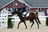 HSM_1031