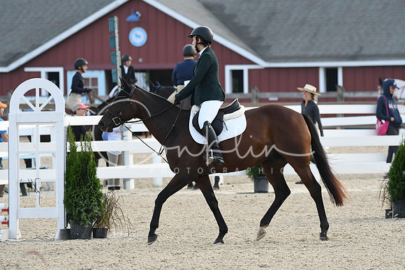 HSM_1031