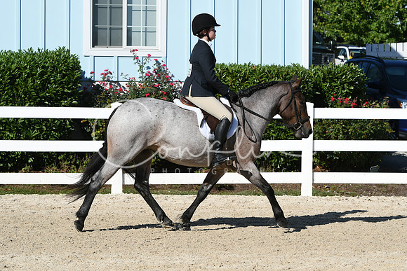 HSM_2301