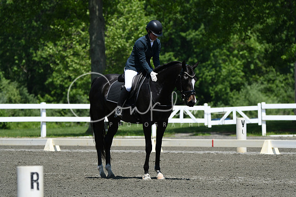 HSM_1834
