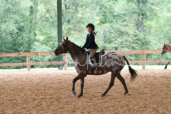 HSM_8291