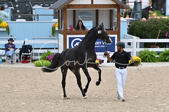 MAK_3668