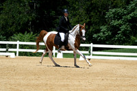 HSM_1310