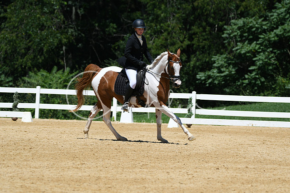 HSM_1310