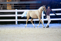 HSM_5881