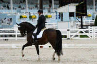 HSM_0684