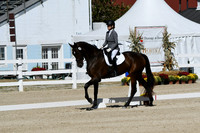 HSM_6822