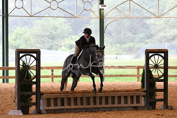 HSM_2195