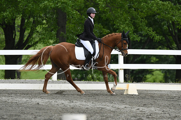 HSM_0648