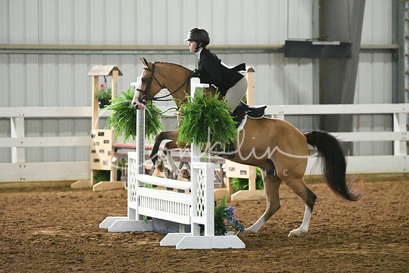 HSM_4355