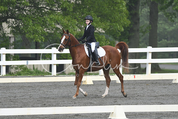 HSM_0893