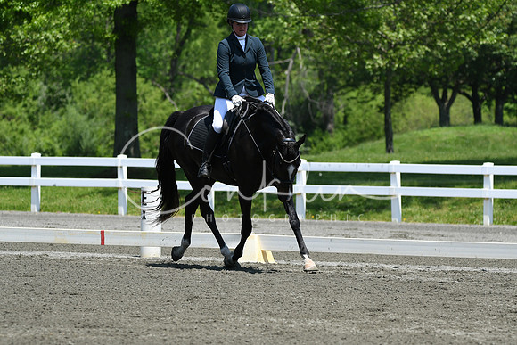 HSM_1804
