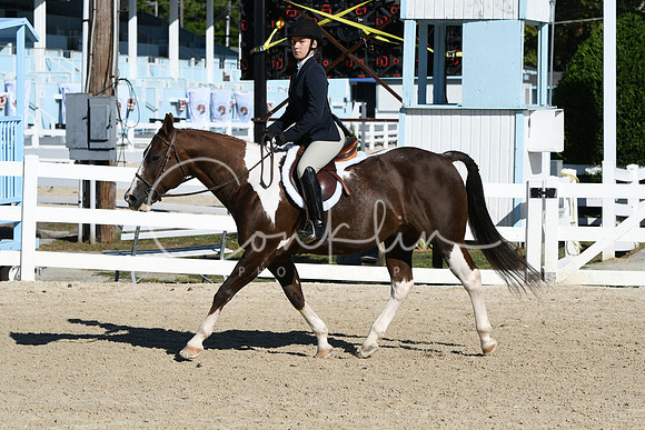 HSM_2263
