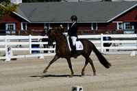 HSM_6739