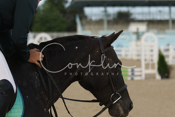 1I7A9924
