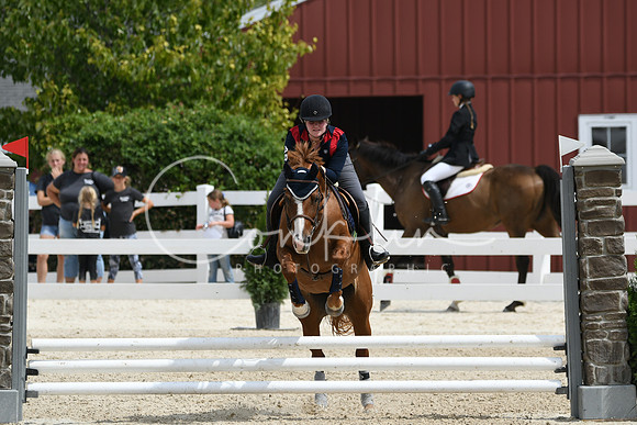 HSM_2593
