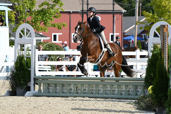 HSM_5976