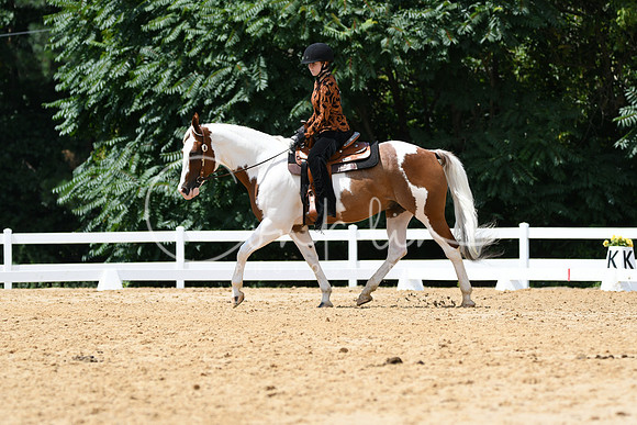 HSM_0603