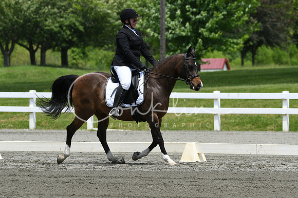 HSM_0373