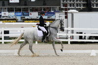 HSM_0090