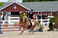HSM_3010