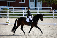 BW184735