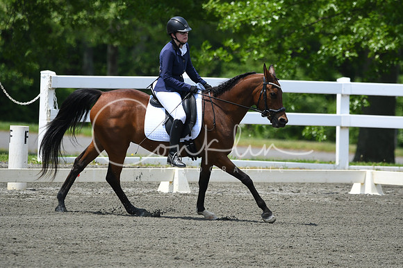 HSM_0242