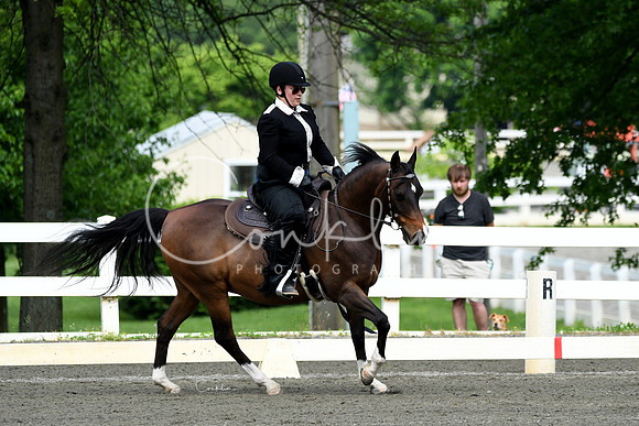 HSM_2497-1