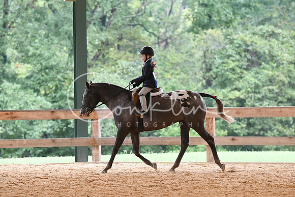 HSM_4882
