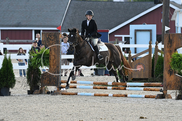 HSM_0976