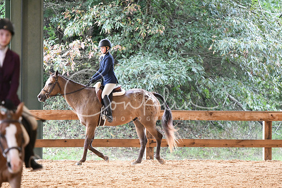 HSM_0799