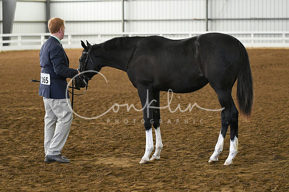 HSM_3724