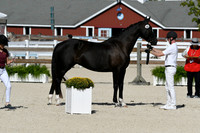 HSM_5193