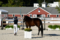 HSM_5441